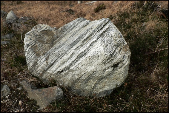 A boulder of Lewisioan Gneiss, clearly showing its stripes